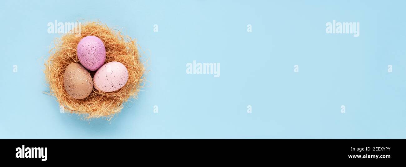 A nest with painted easter eggs on blue background. Easter concept. Top view, flat lay, copy space. Stock Photo