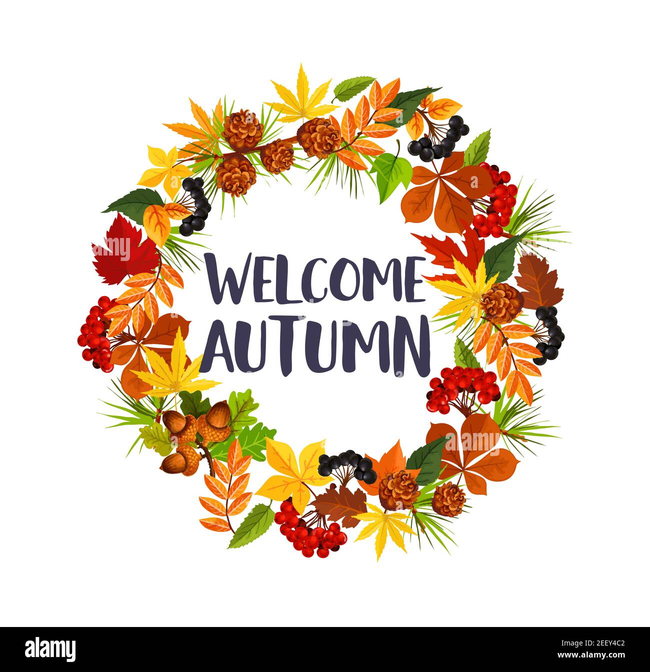Welcome Autumn poster of fall maple leaf, oak acorn or rowan berry and ...
