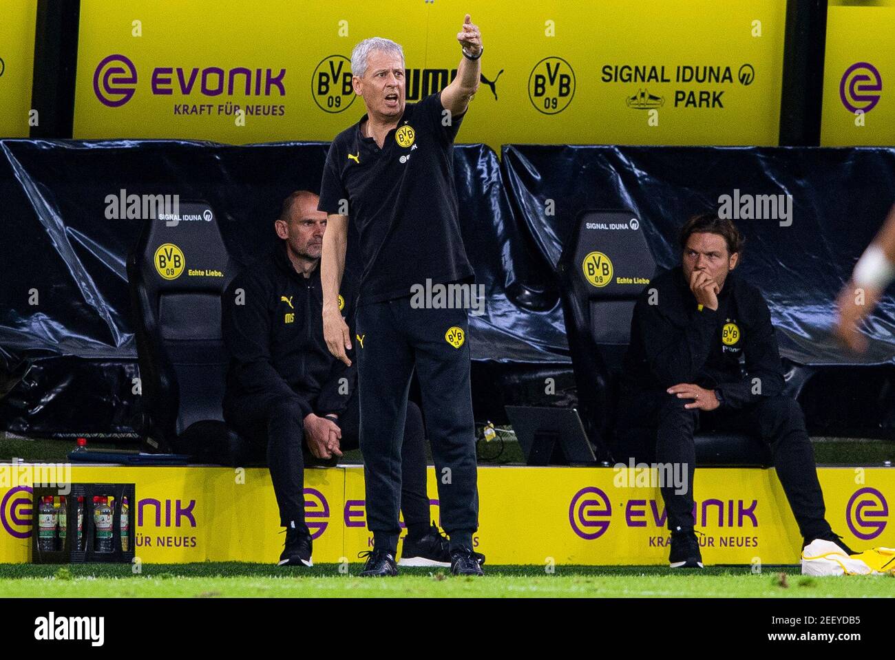 Soccer Football - Bundesliga - Borussia Dortmund v 1. FSV Mainz 05 - Signal Iduna Park, Dortmund, Germany - June 17, 2020 Dortmund coach Lucien Favre during the match, following the resumption of play behind closed doors after the outbreak of the coronavirus disease (COVID-19) Guido Kirchner/Pool via REUTERS  DFL regulations prohibit any use of photographs as image sequences and/or quasi-video Stock Photo