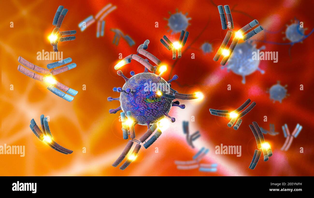Monoclonal antibody hi-res stock photography and images - Alamy