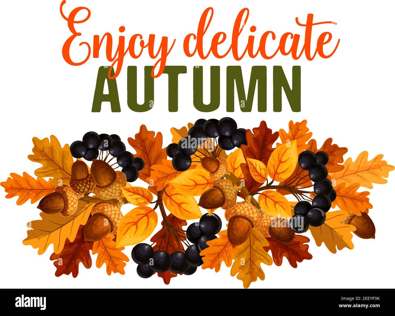 Enjoy Autumn Seasonal Greeting Card Of Oak Acorn And Rowan Berry