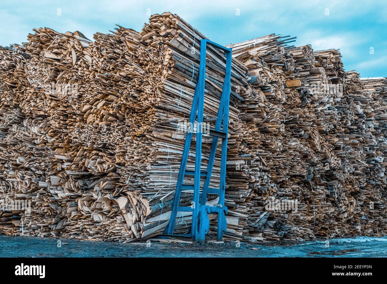 wood processing piles of timber Stock Photo - Alamy