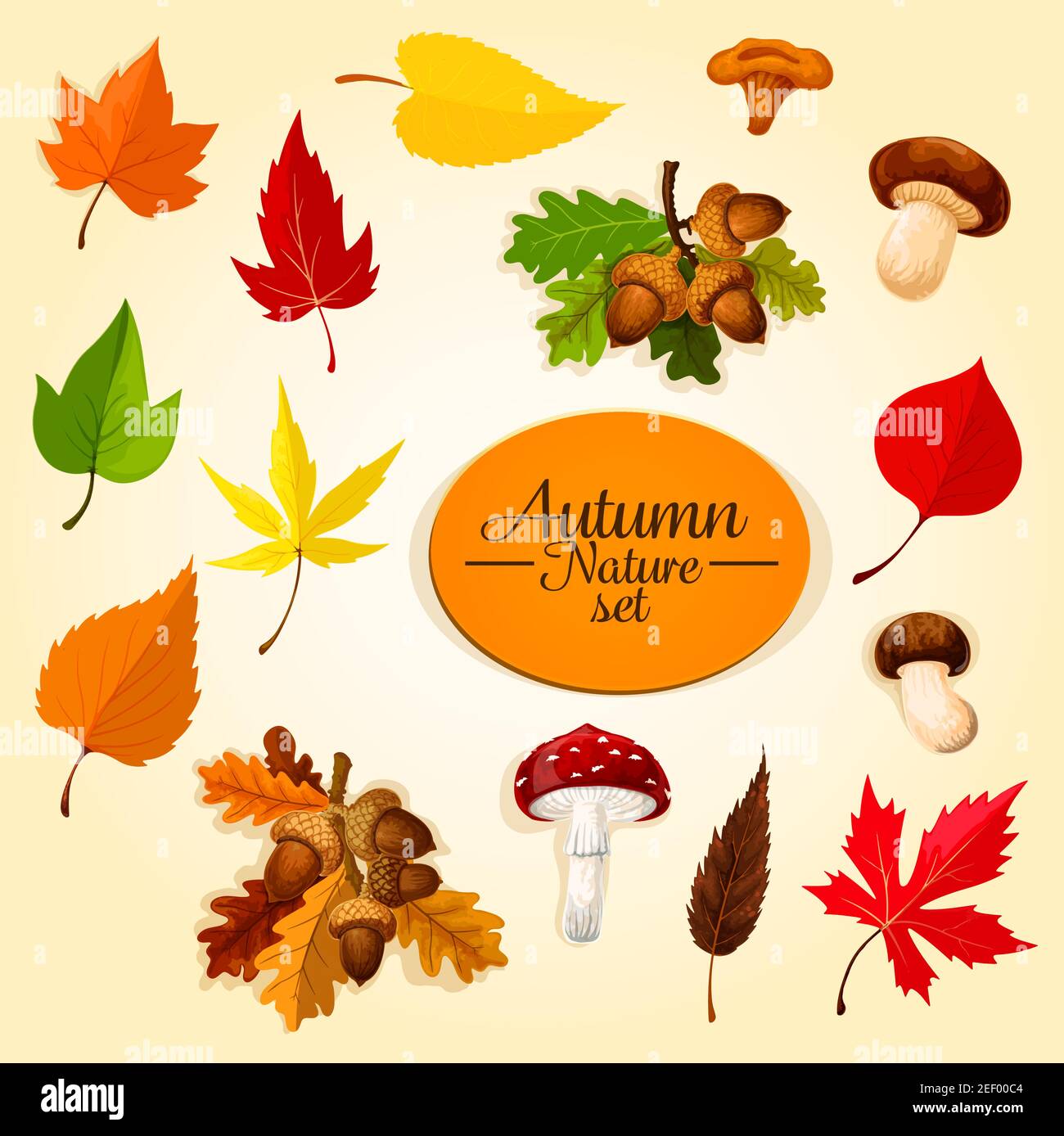 Autumn season icon set with leaf and mushroom. Fall nature symbol of ...