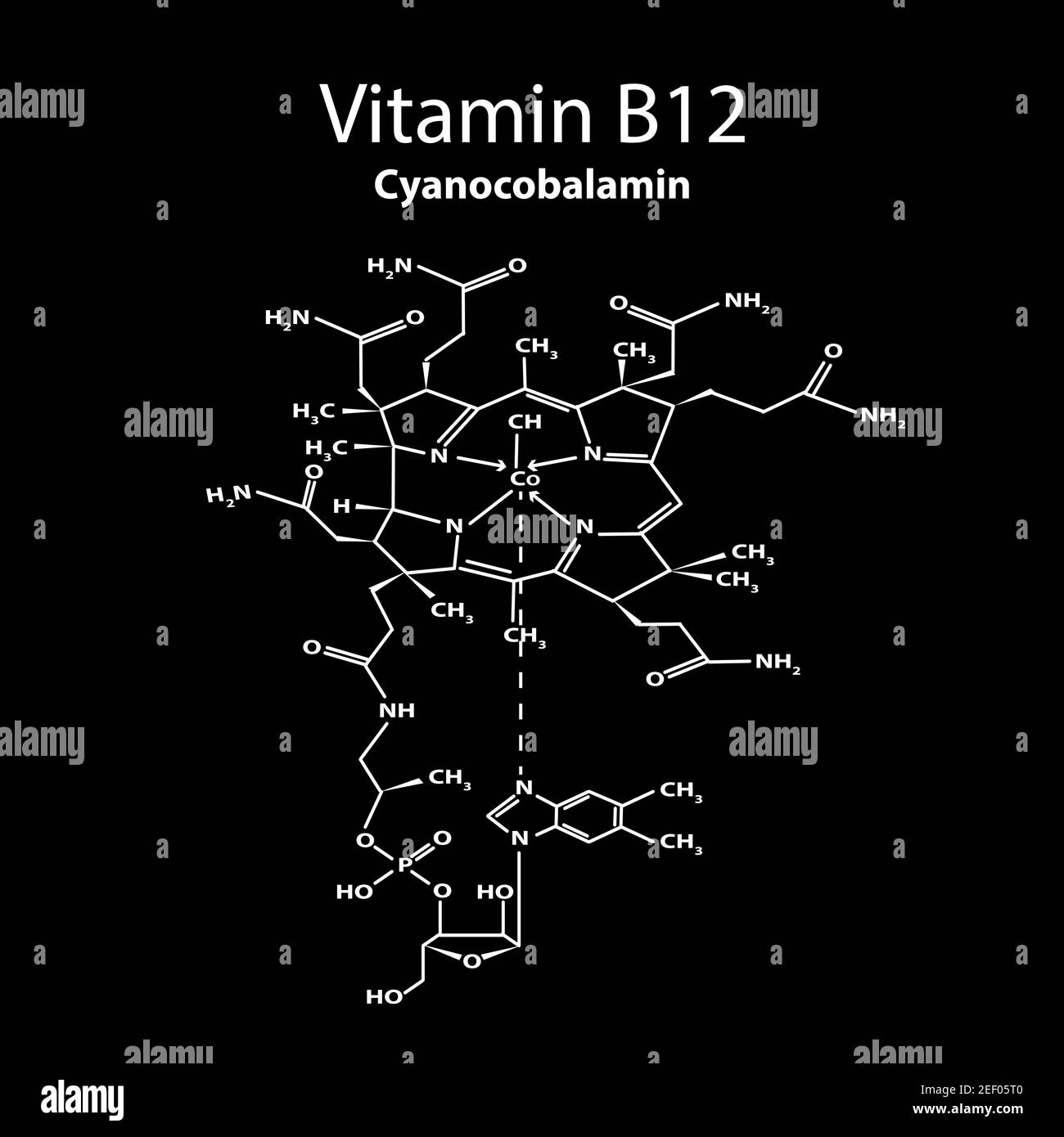 Vitamin B12. cyanocobalamin Molecular chemical formula. Infographics