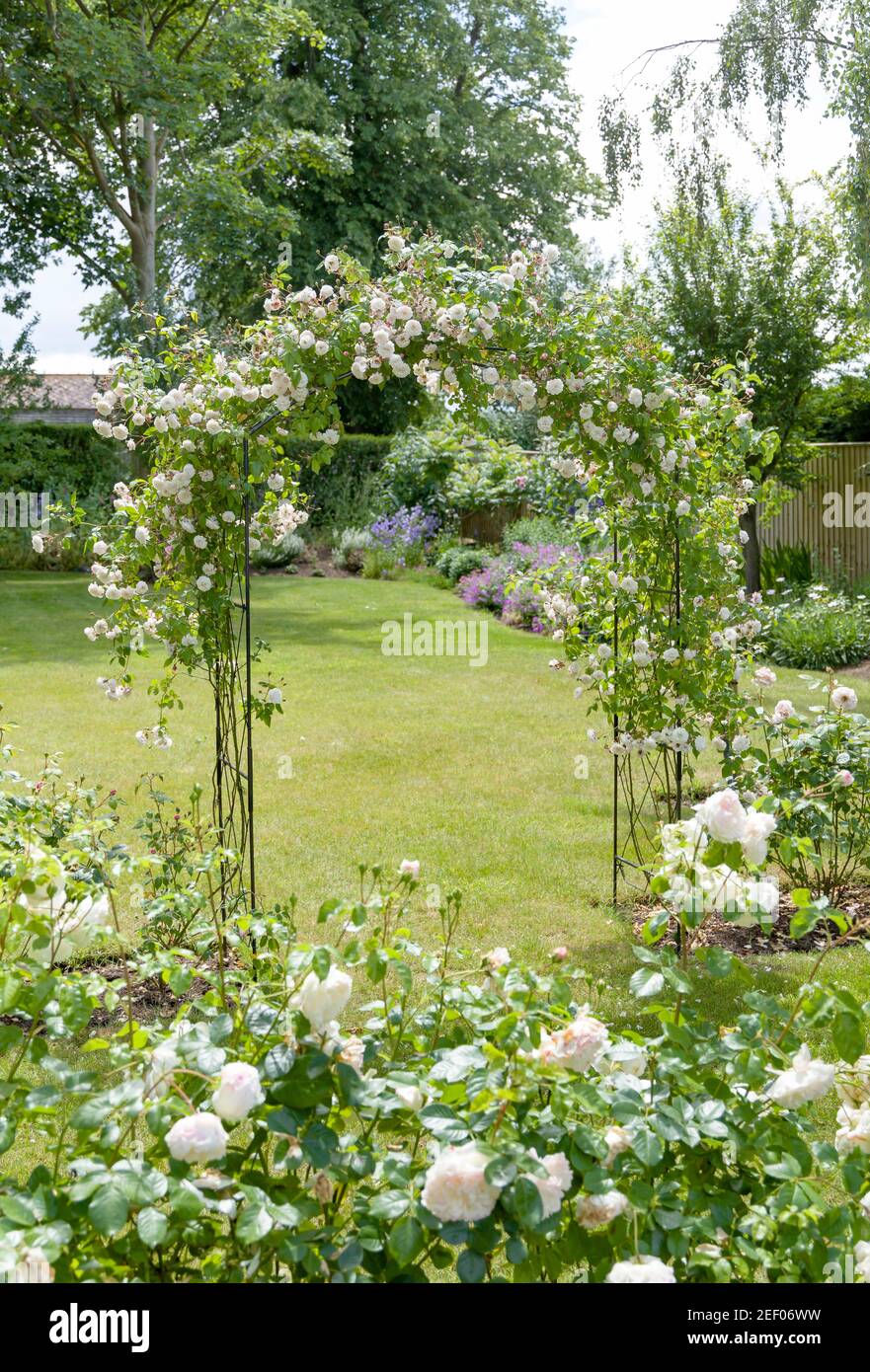 Large garden beds roses hi-res stock photography and images - Alamy