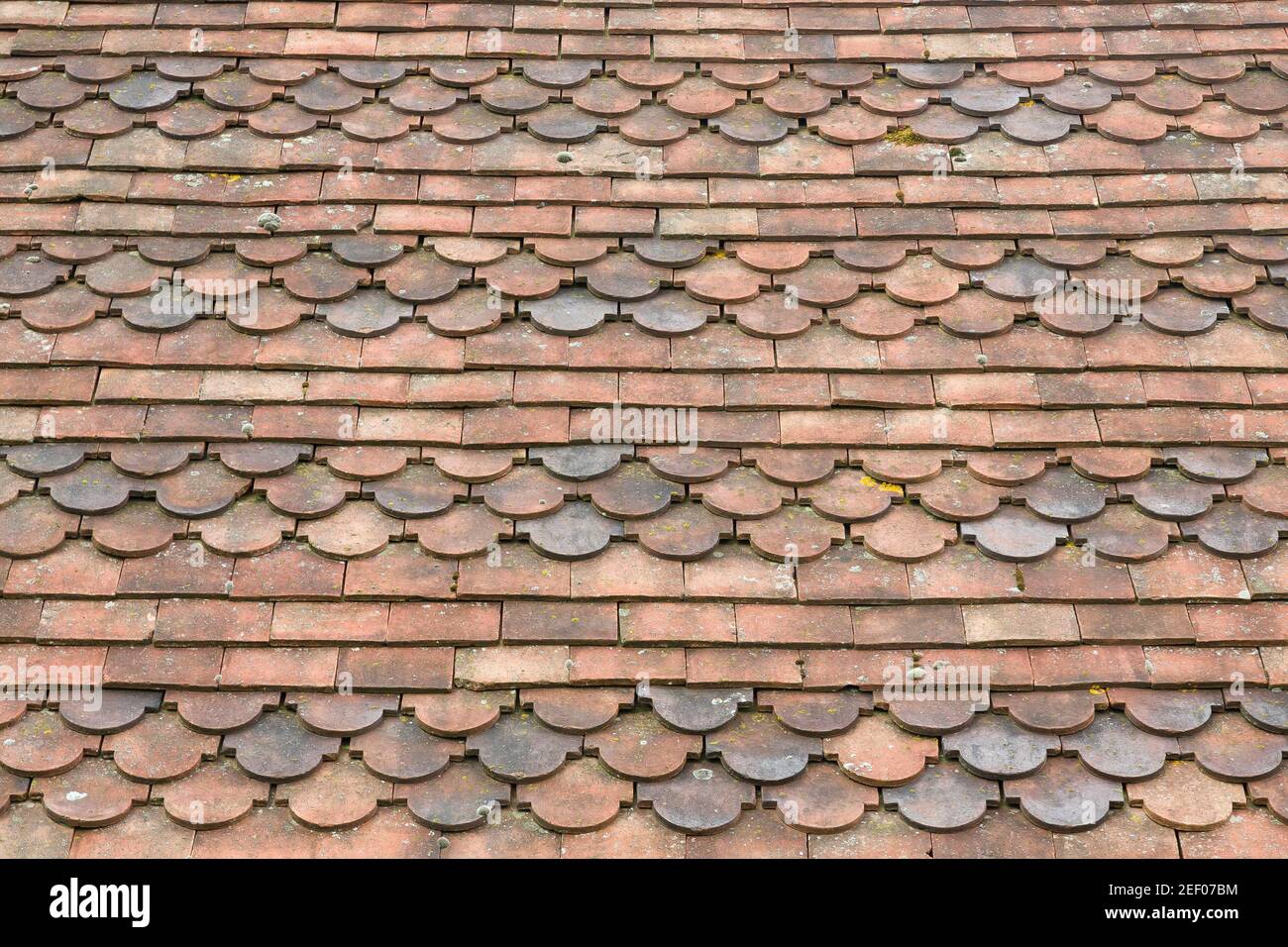 Club roof tiles texture, fish scale roof tiles on a house, scalloped pattern close up, UK Stock Photo
