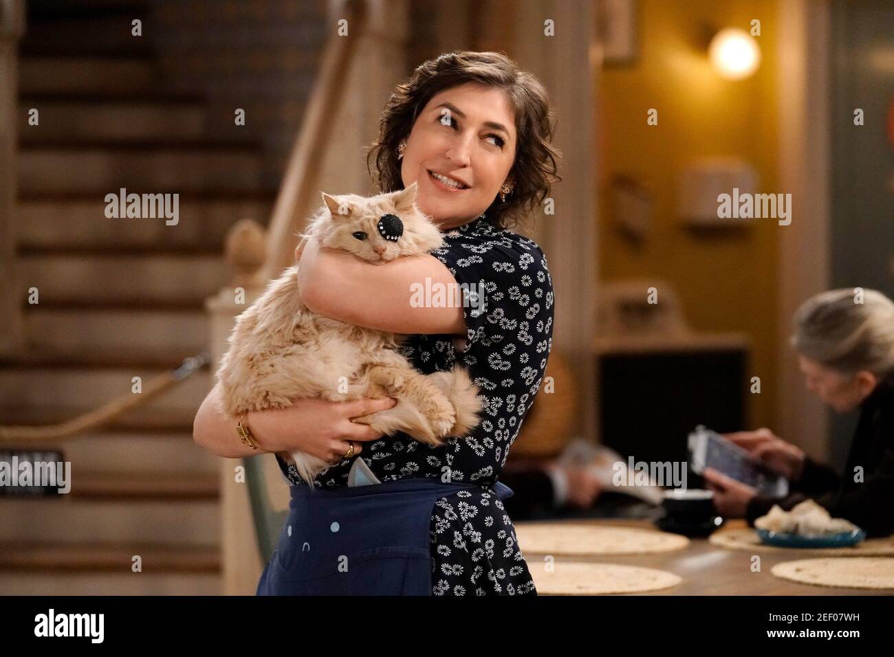 Call Me Kat Mayim Bialik Eggs Season 1 Ep 108 Aired Feb 11 21 Photo Lisa Rose C Fox Courtesy Everett Collection Stock Photo Alamy