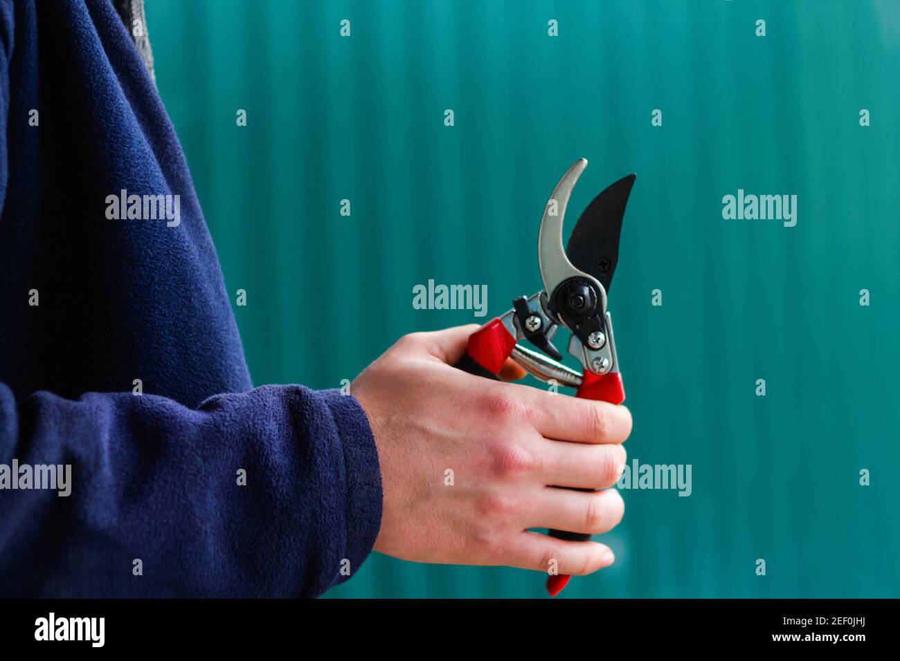 Gardening. Male hand holding red close gardening scissors Side view