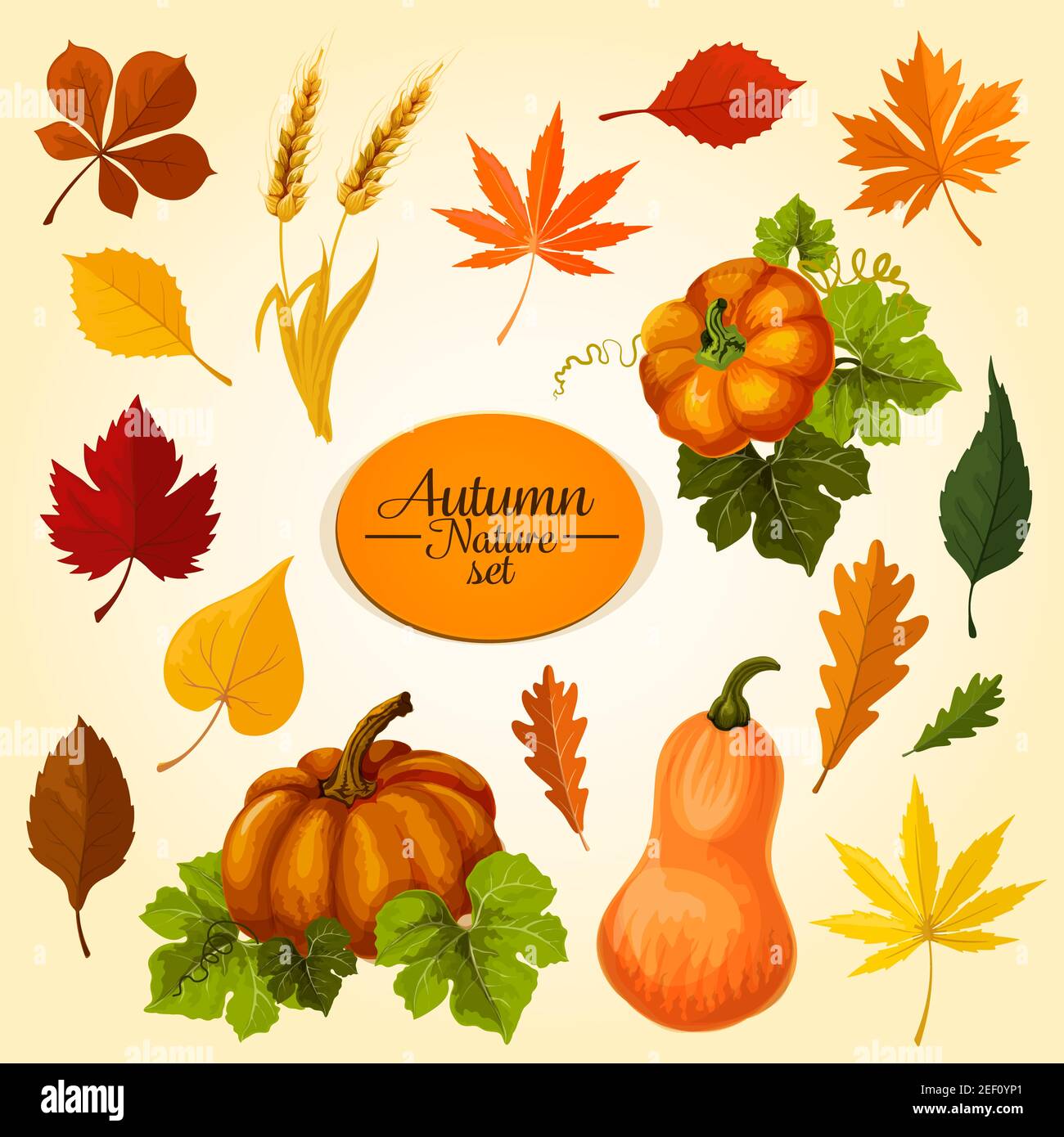 Autumn vegetable and fallen leaf icon set. Fall season harvest pumpkin ...