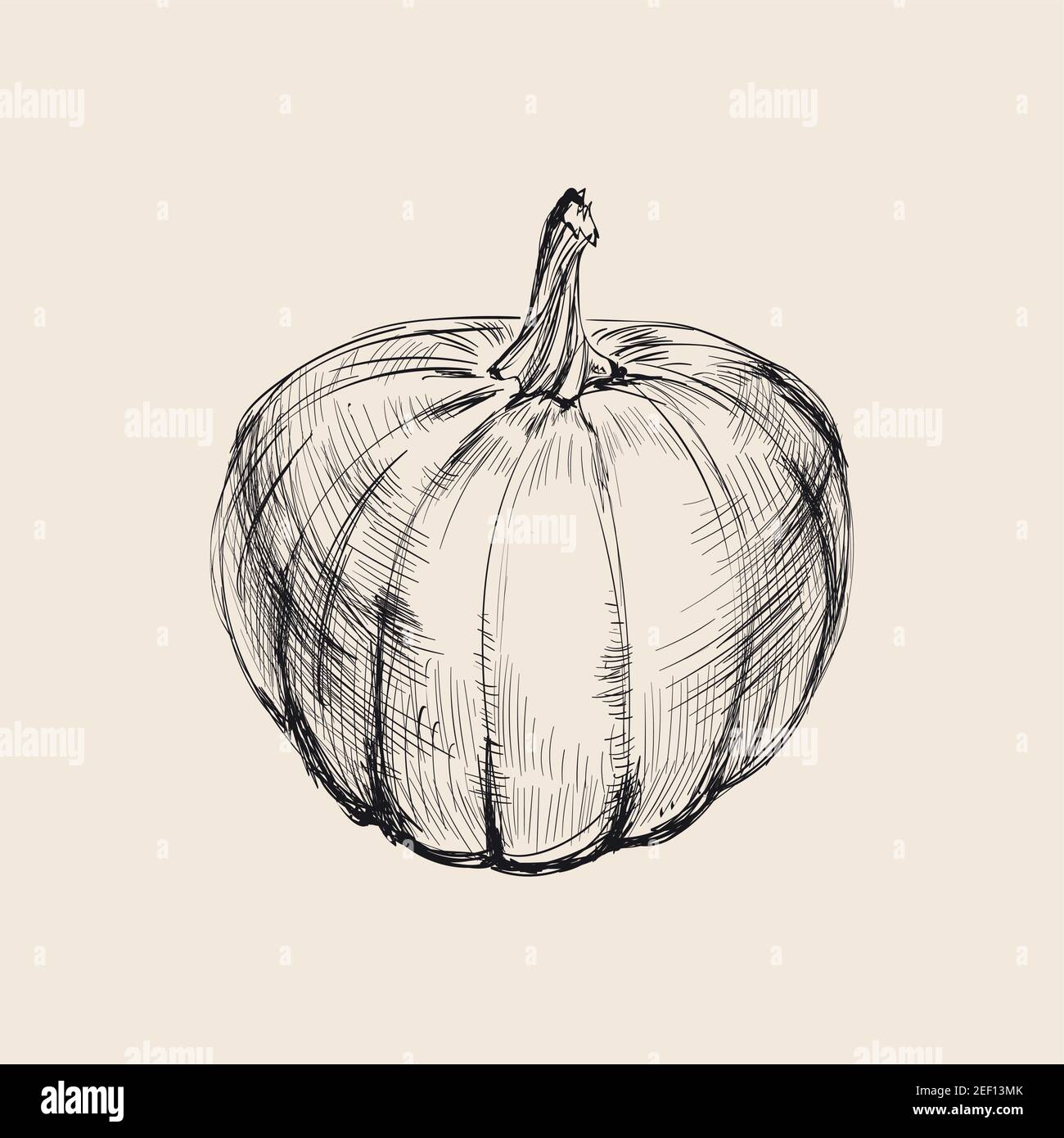 Pumpkin Hand Drawing Vector Illustration. Pumpkin Hand Drawing Vector Illustration. Stock Vector