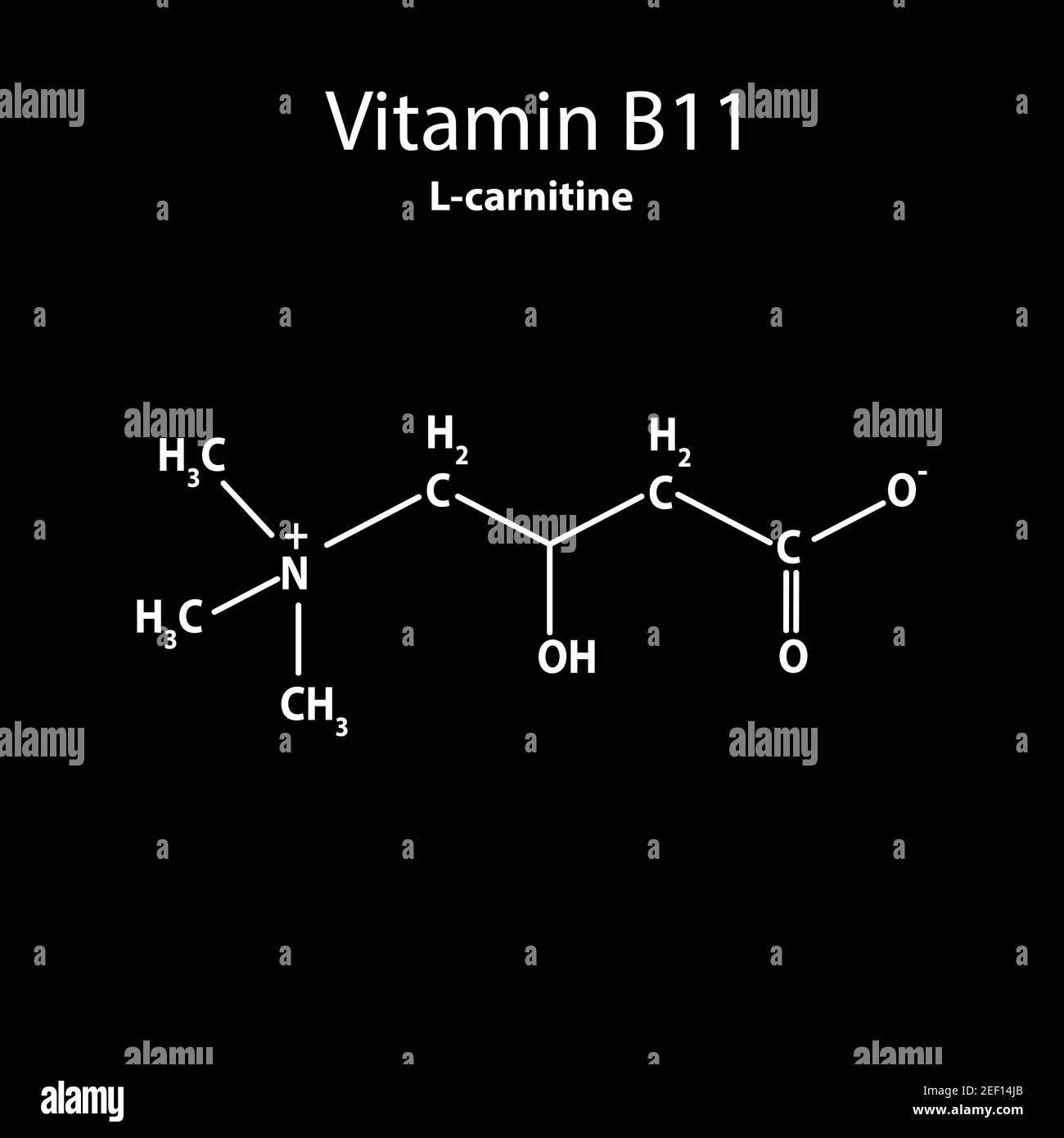 l carnitine formula Vitamin B11. L-carnitine Molecular chemical formula. Infographics. Vector  illustration on black background Stock Vector Image & Art