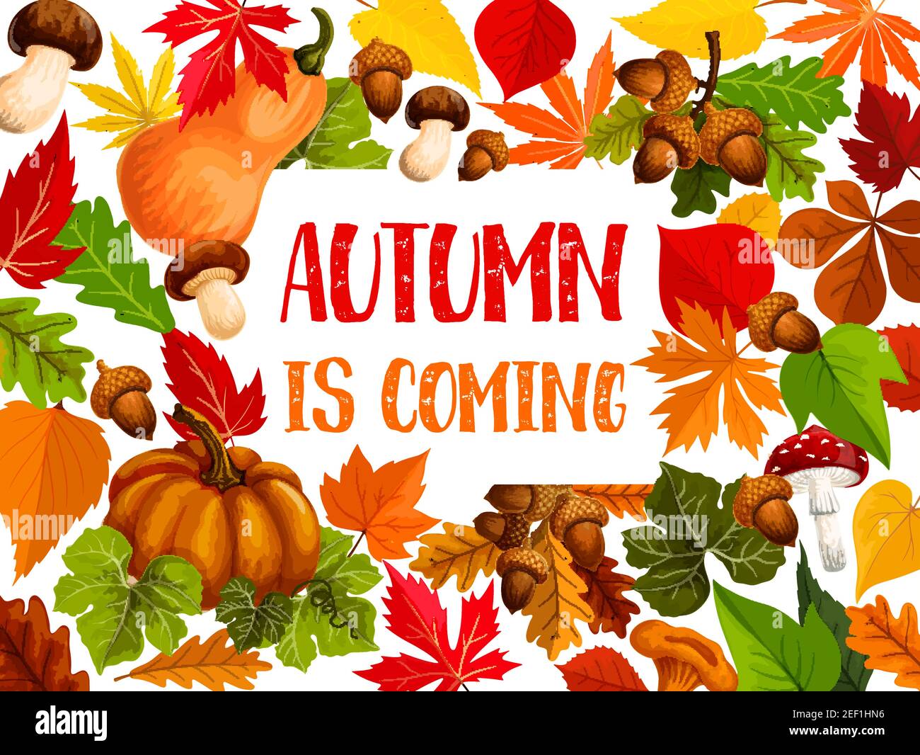 Autumn leaf and fall harvest vegetable welcome banner. Orange maple ...