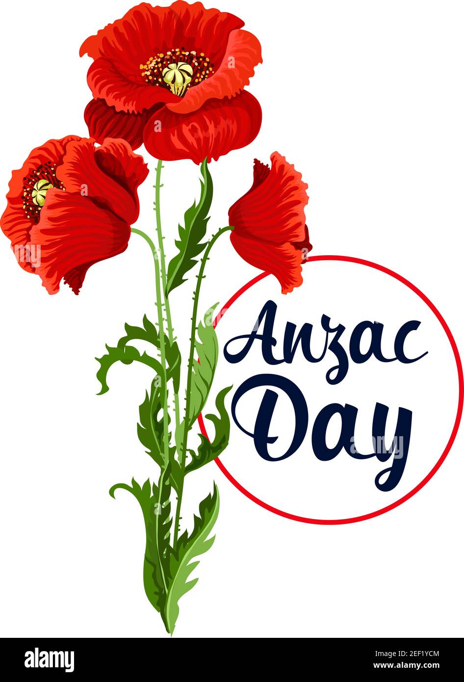 Australian army veterans Cut Out Stock Images & Pictures Alamy