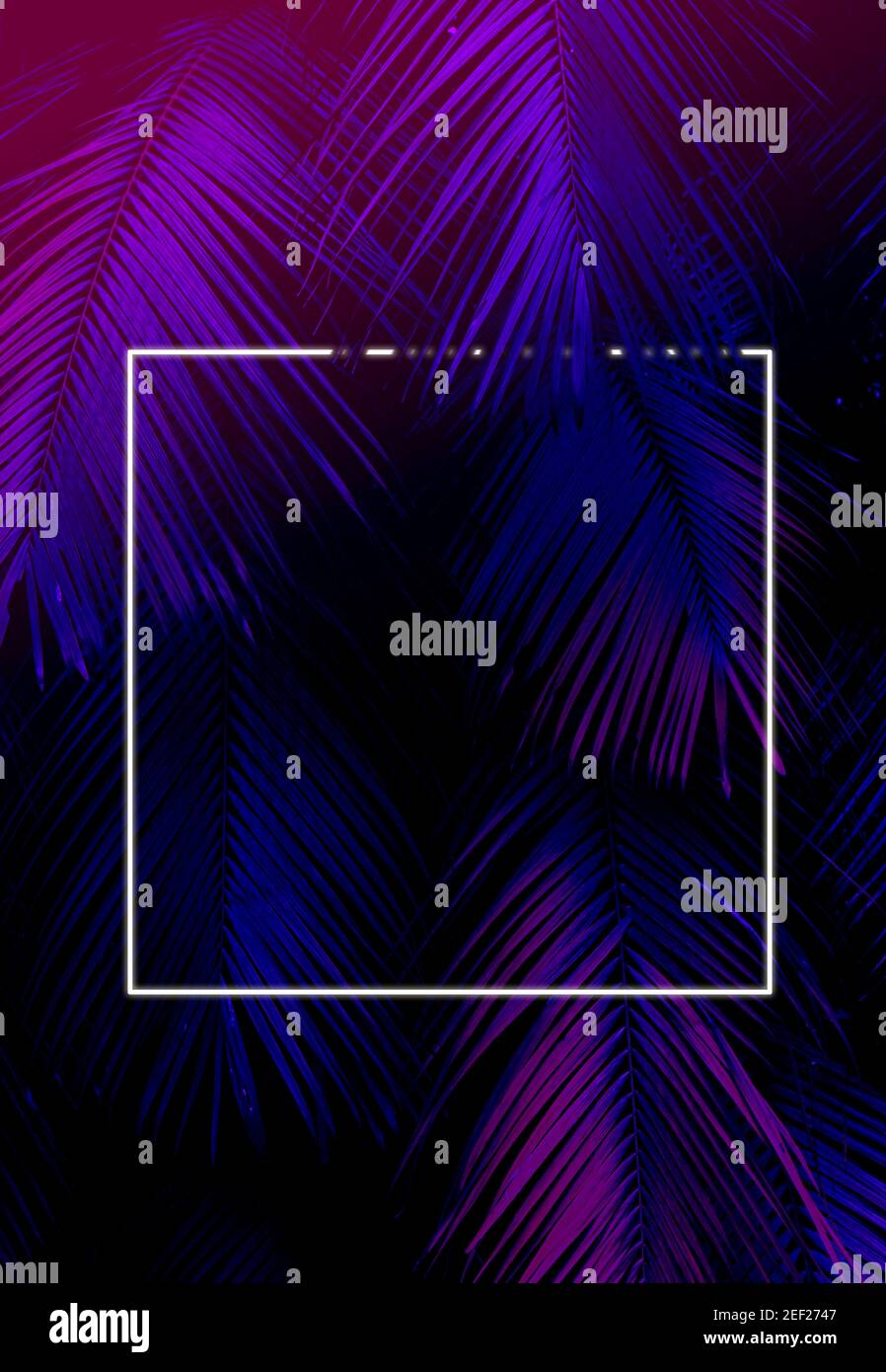 Dark purple and pink gradient tropical neon light background Stock Photo