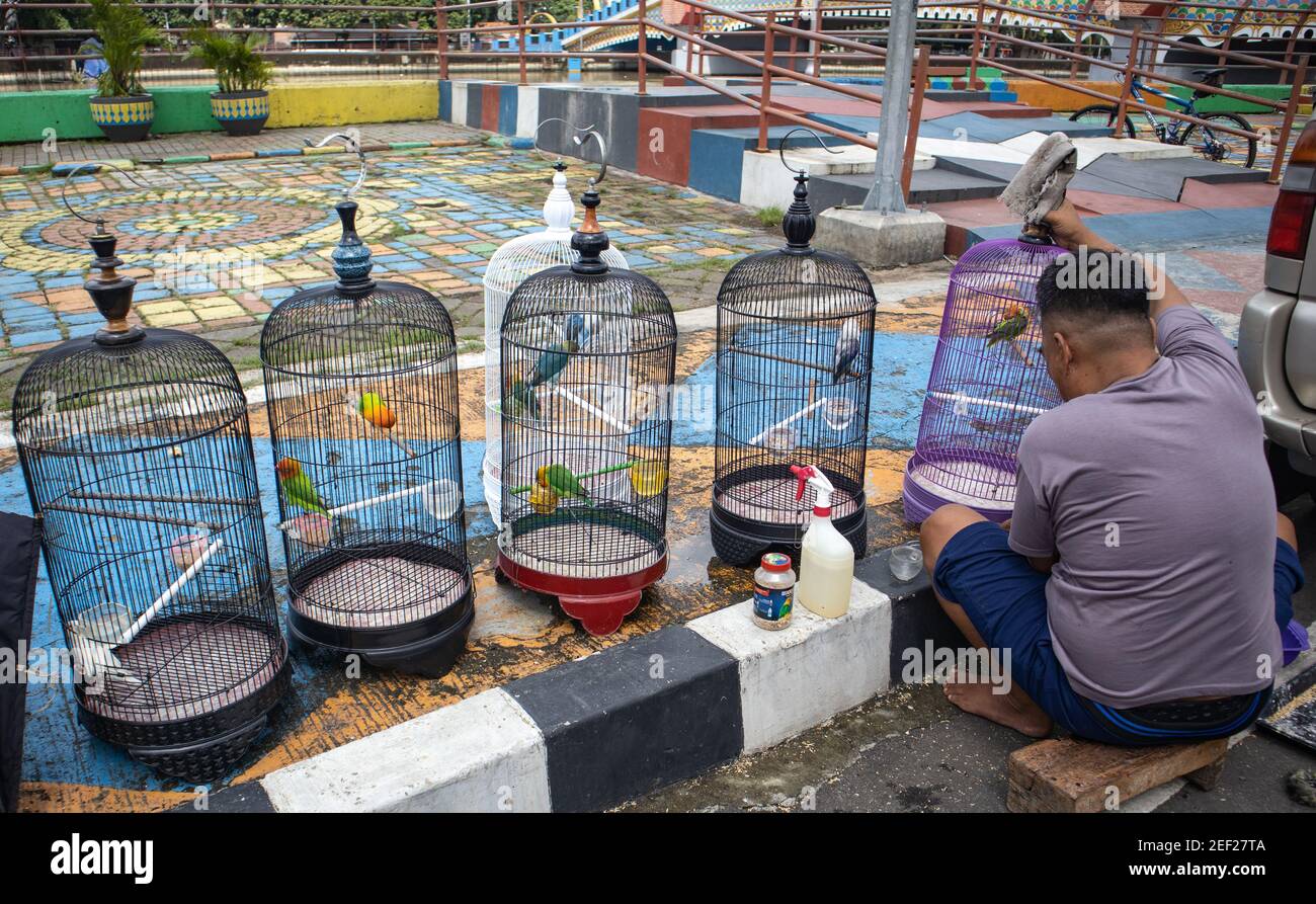 Cleaning the Bird Cages Stock Photo Alamy