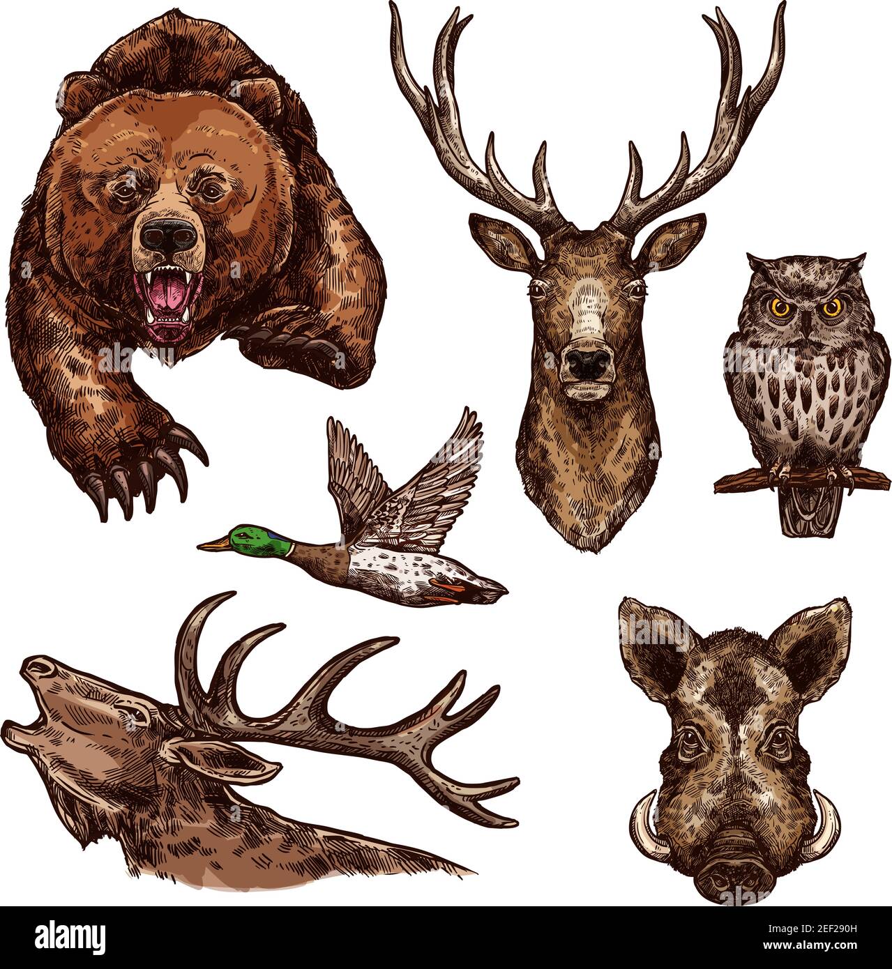 Wild animals and birds sketch icons. Vector isolated set of grizzly