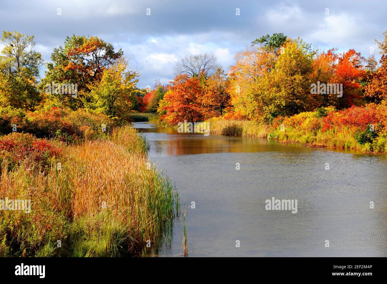 Scenic vista in Presque Isle State Park Erie Pennsylvania along Lake ...