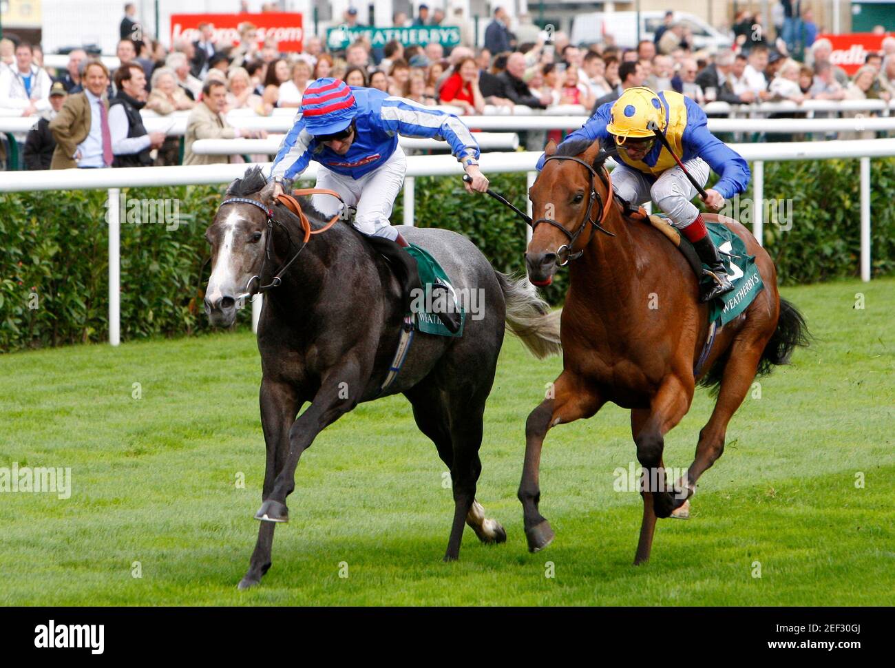 frankie dettori racing game frankie dettori racing game