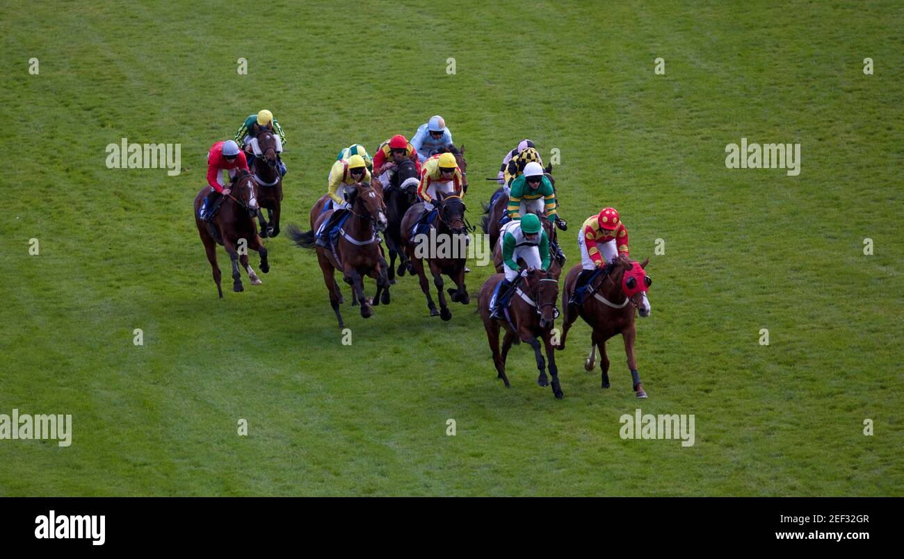 Fontwell High Resolution Stock Photography And Images Alamy