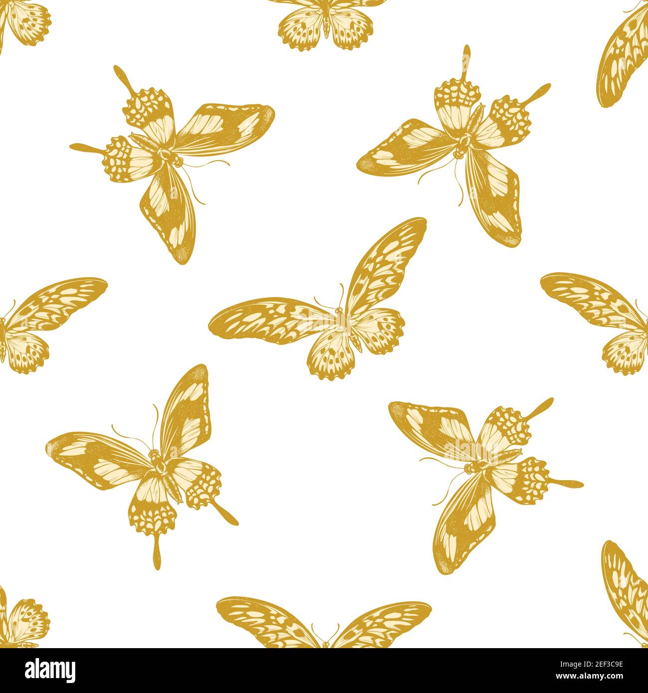 Seamless pattern with hand drawn pastel african giant swallowtail, papilio torquatus Stock Vector