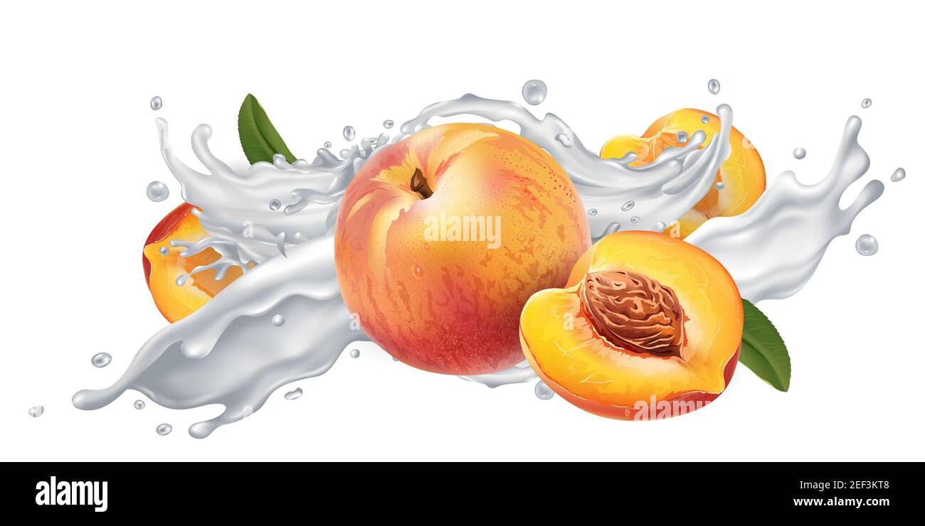 Peaches in a milk or yogurt splash. Stock Photo