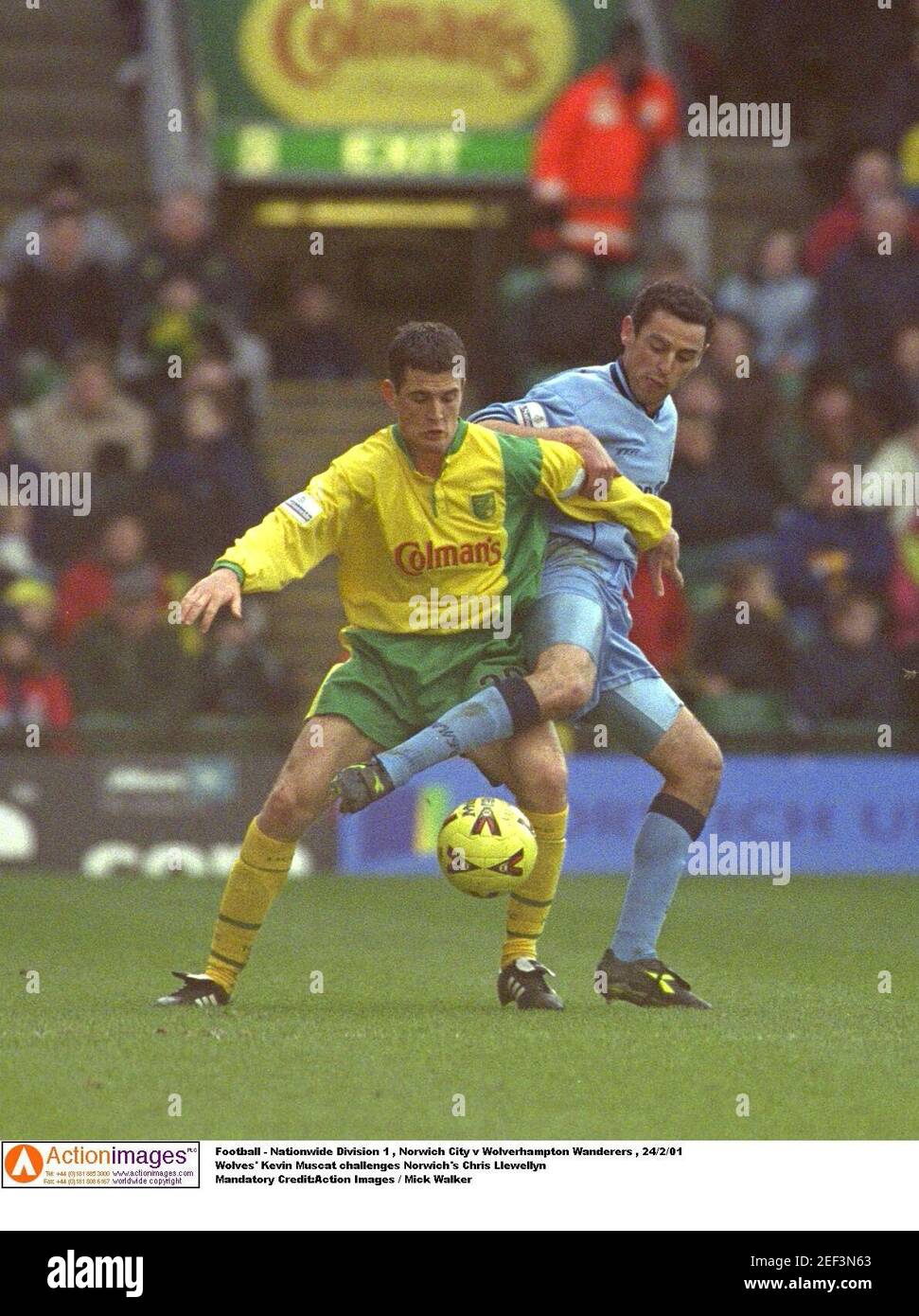 Football - Nationwide Division 1 , Norwich City v Wolverhampton Wanderers ,  24/2/01 Wolves' Kevin Muscat challenges Norwich's Chris Llewellyn Mandatory  Credit:Action Images / Mick Walker Stock Photo - Alamy