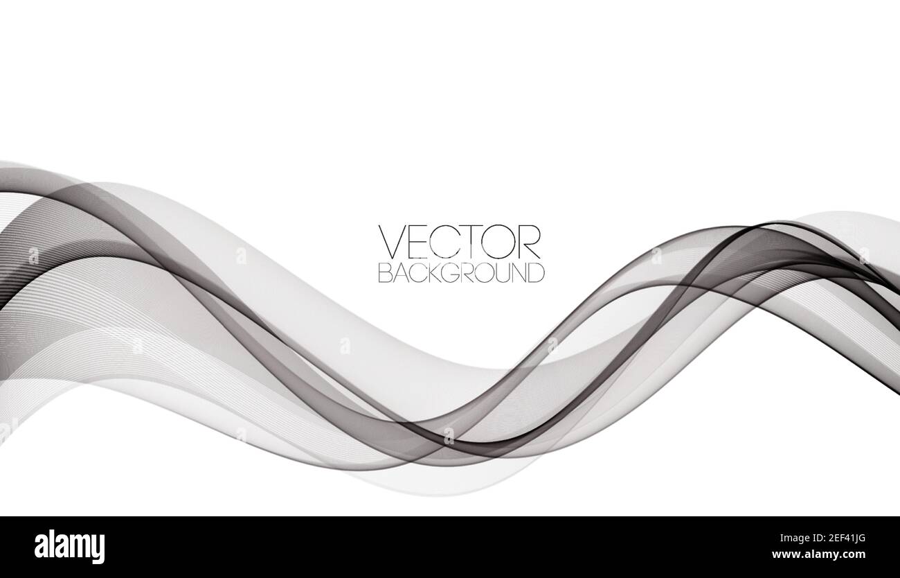 Abstract smooth gray wave vector. Curve flow grey motion illustration