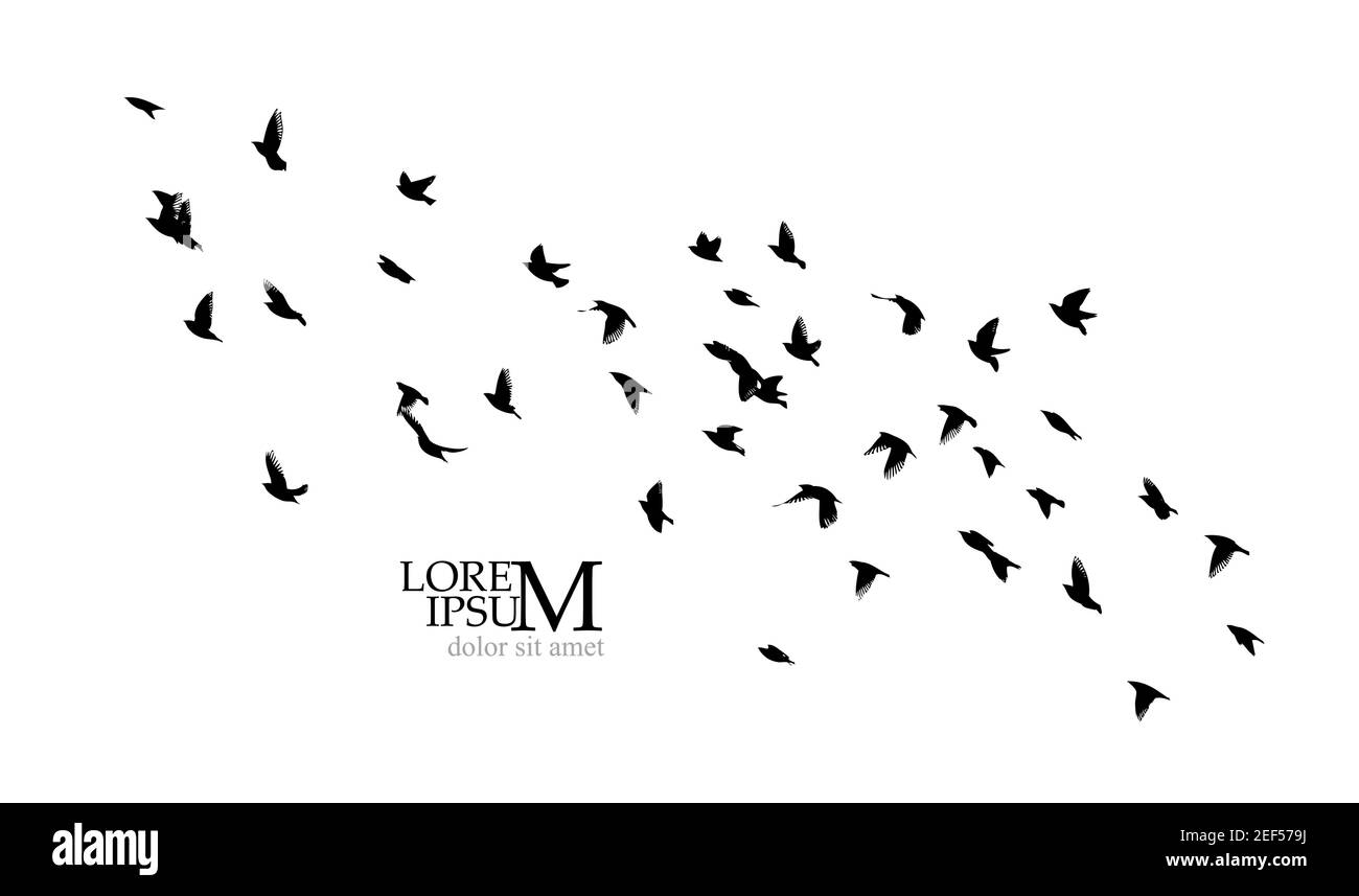 A large flock of flying birds. Vector illustration Stock Vector