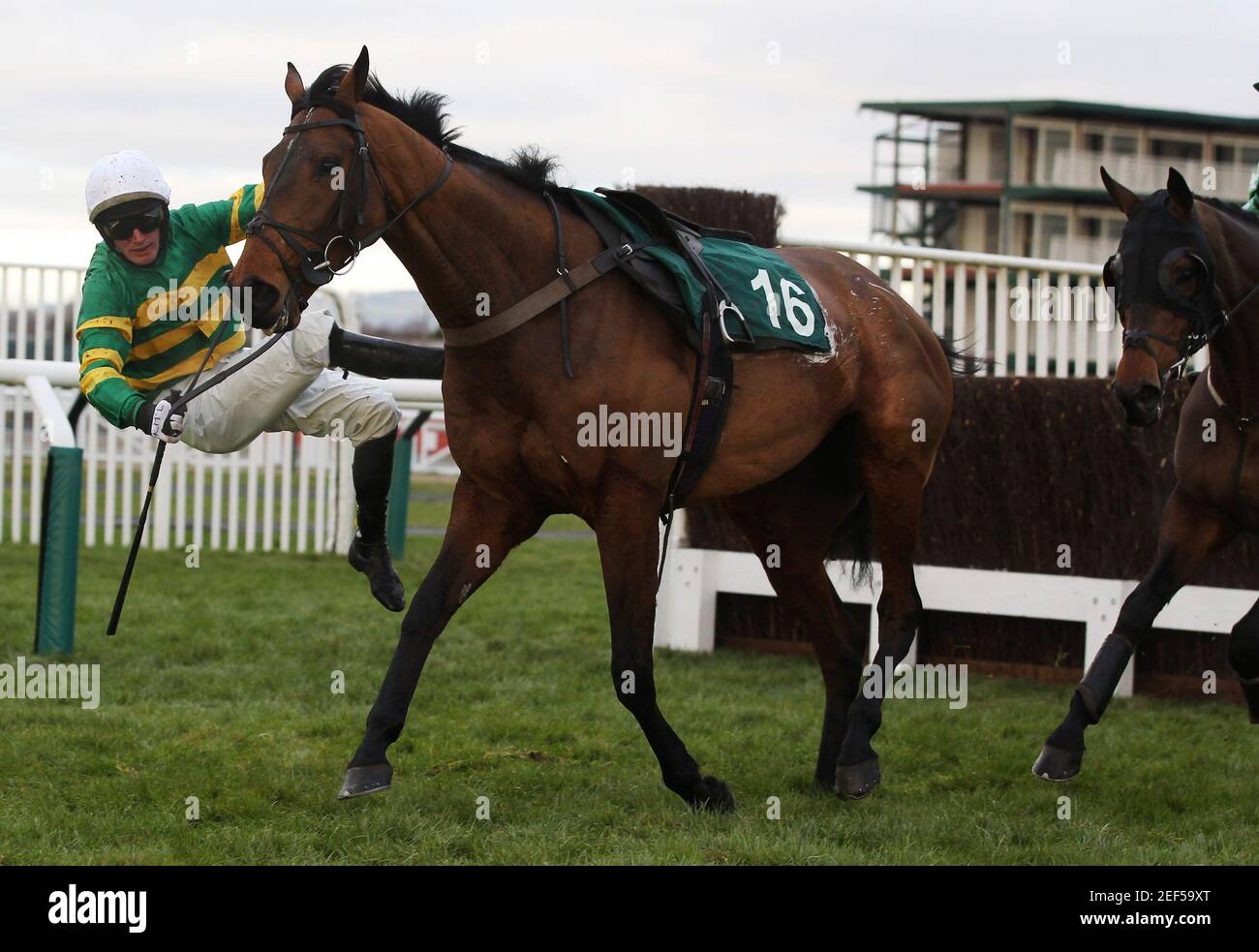 Electrical horse fence hires stock photography and images Alamy