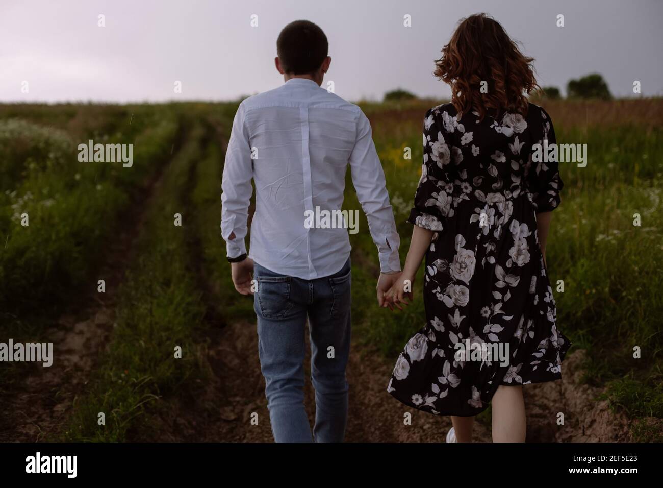 Back view of the couple holds hands and walks in the meadow  Stock Photo