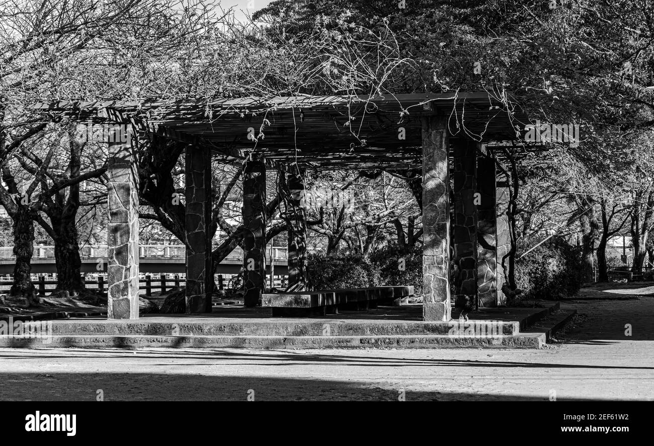 An overgrown gazebo, in black and white, in a park, in Kagoshima city, Japan. Stock Photo