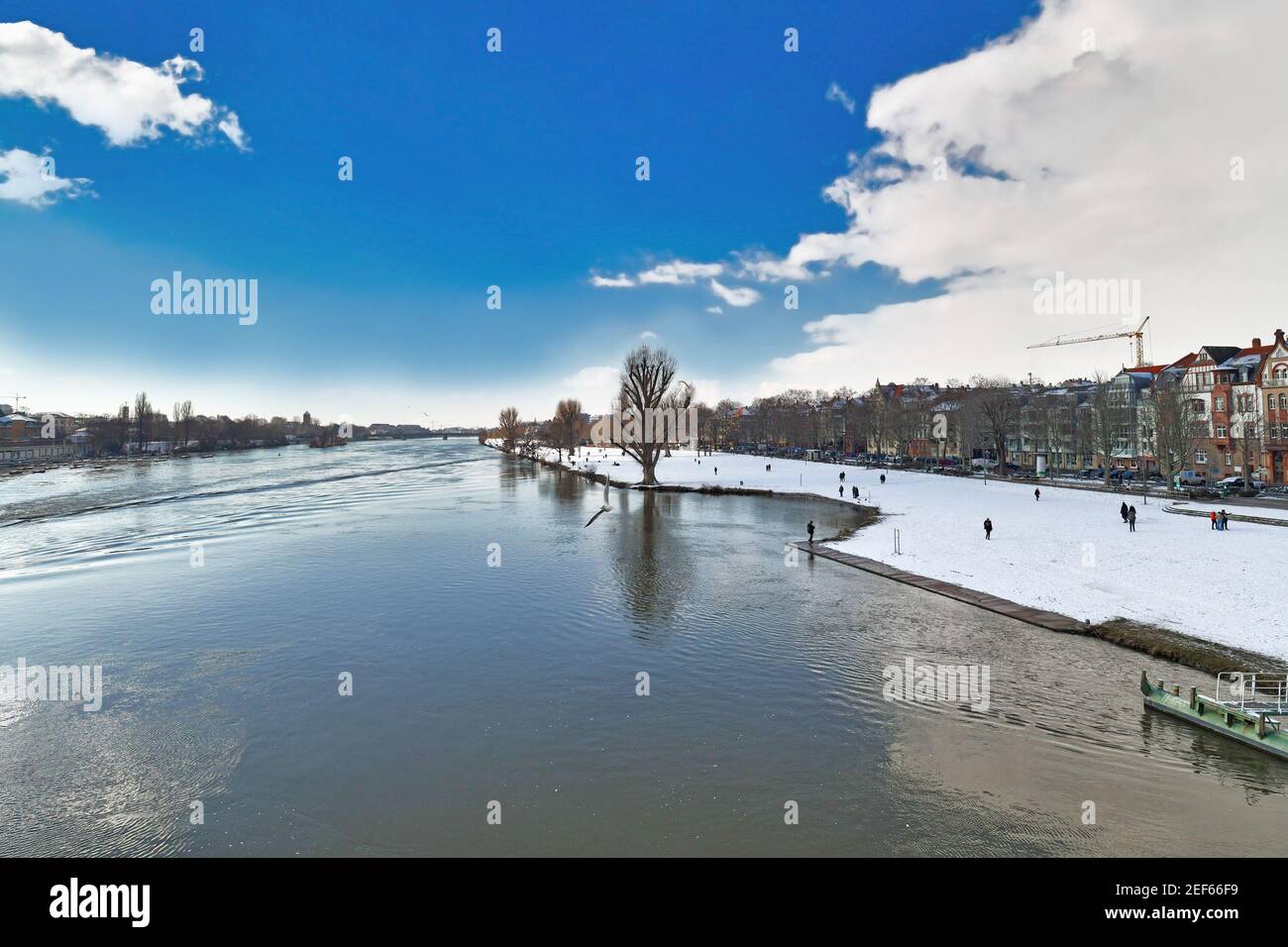 Heidelberg, Germany - February 2021: Neckar river with lower river bank called 'Neckarwiese' with big meadow covered in snow and people taking walks Stock Photo