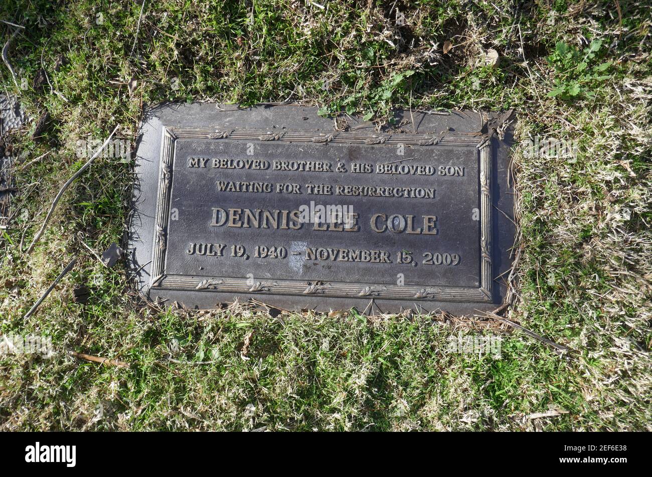 Los Angeles, California, USA 16th February 2021 A general view of atmosphere of actor Dennis Cole's Grave at Forest Lawn Memorial Park Hollywood Hills on February 16, 2021 in Los Angeles, California, USA. Photo by Barry King/Alamy Stock Photo Stock Photo