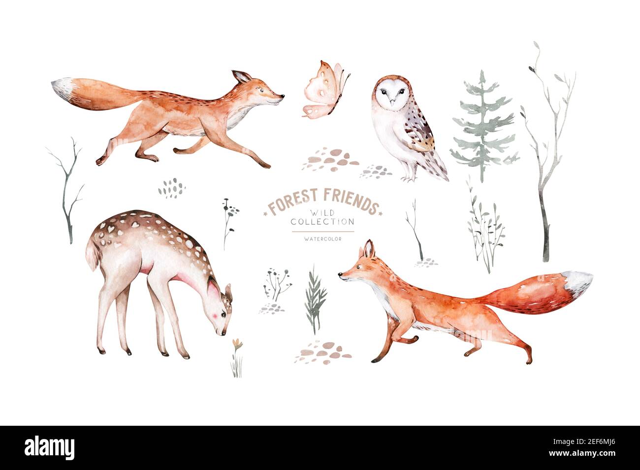 Set Of Animals Owl Hedgehog Butterfly Bunny Set Of Animals Watercolor Drawing For The Design Of Postcards Baby Clothes And T Shirt Prints Stock Photo Alamy