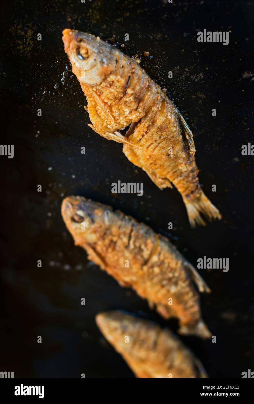 in-oil-fried-fish-on-plate-stock-photo-alamy
