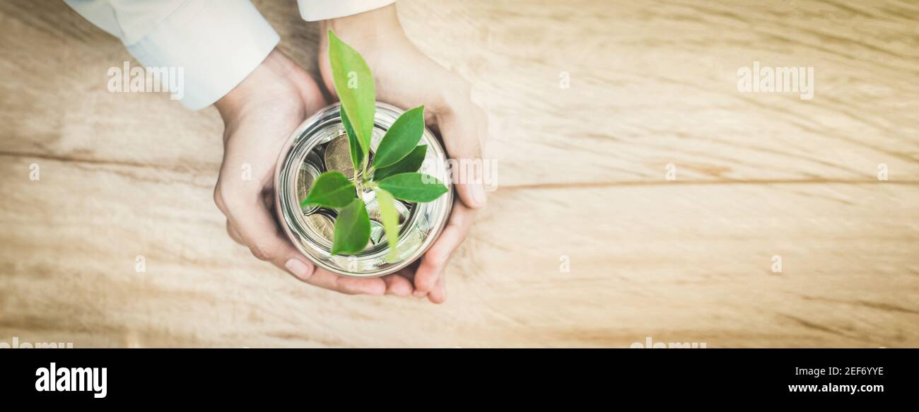 Young plant growing from money (coins) in the glass jar held by  woman hands - horizontal web banner with copy space Stock Photo