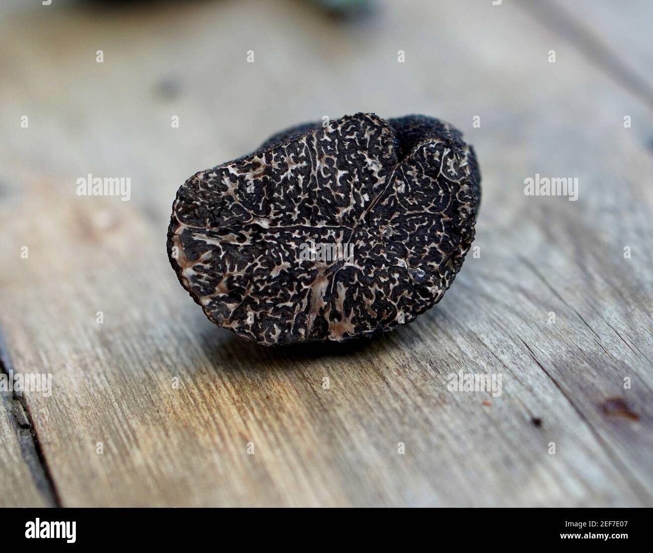 Truffles on a wooden background Stock Photo