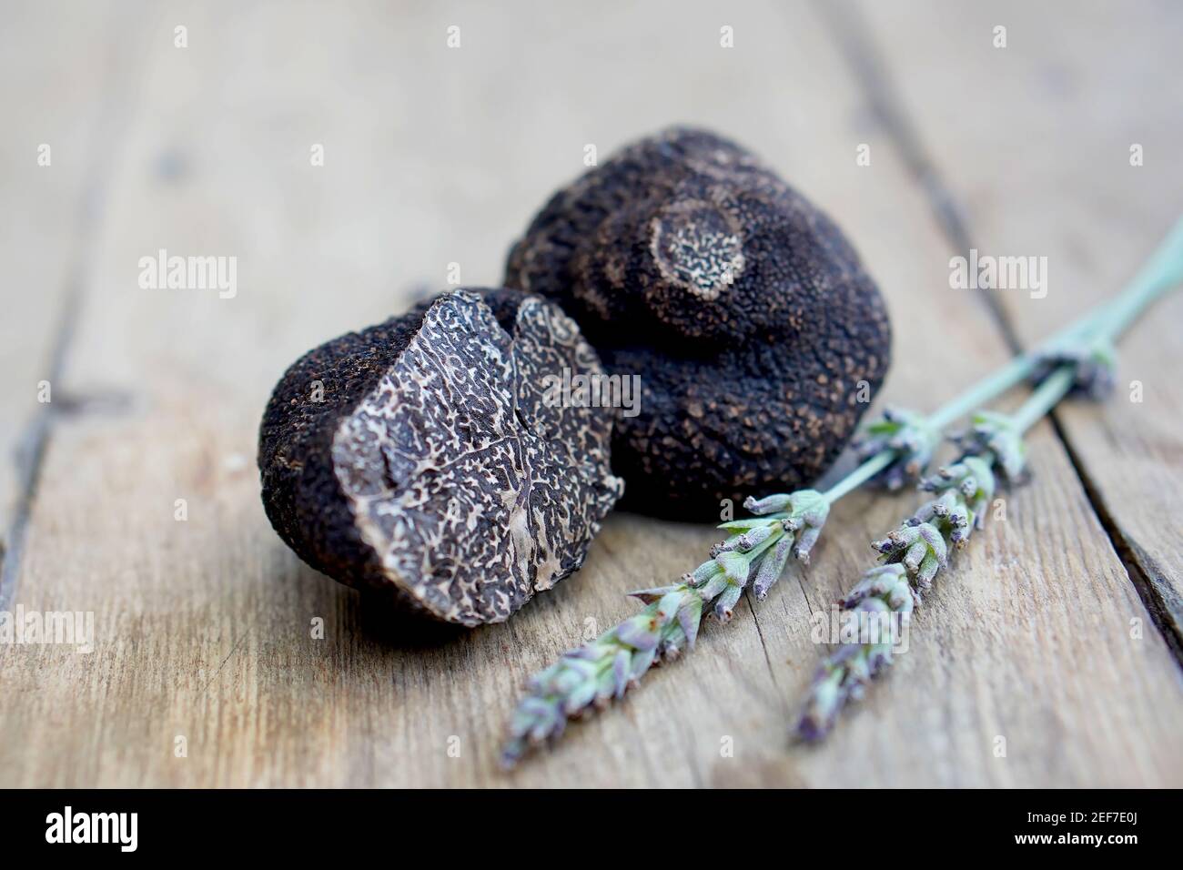 Truffles on a wooden background Stock Photo
