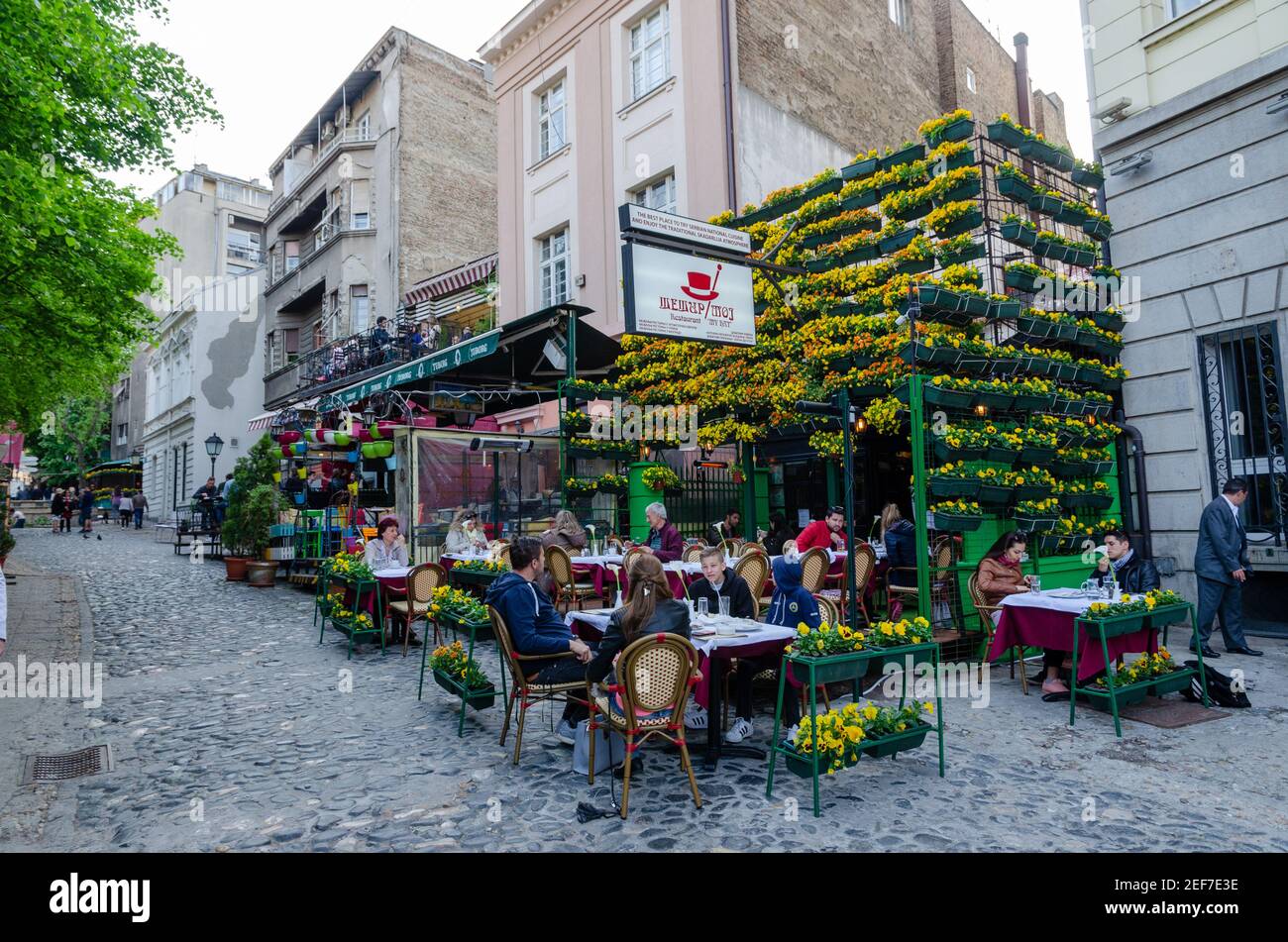 Flowers in pots on historic place Skadarlija with trees, cafes, cobbled lanes and alleys in downtown. Belgrade street with bars and restaurants. Stock Photo