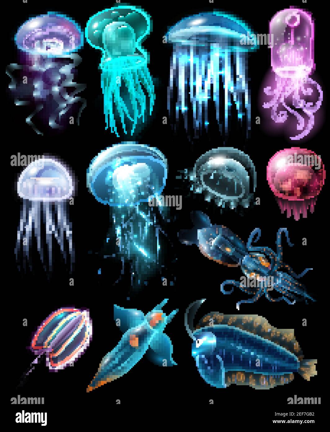 Light multicolored stylish animals set fish different jellyfish and vector illustration Stock Vector Image & Art - Alamy