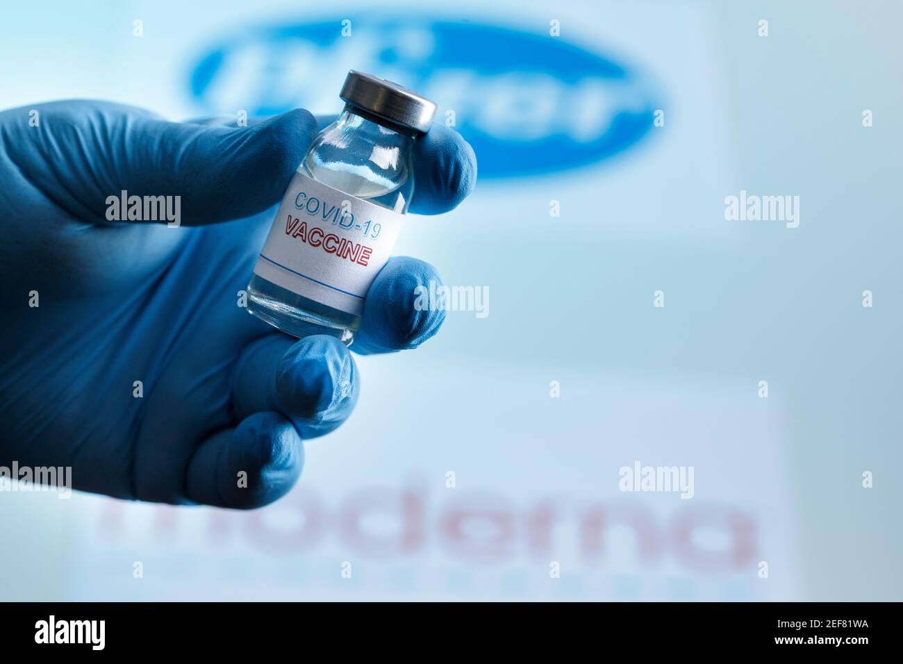 Coronavirus vaccine bottle held by a gloved hand and in the background the brand of pharmaceutical companies pfizer and modern Stock Photo