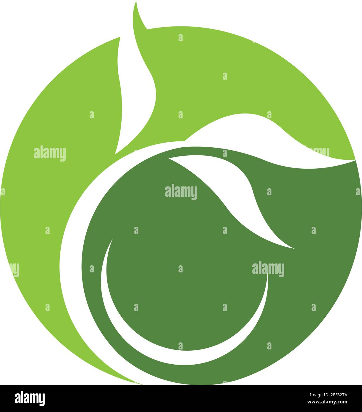 Logos of green leaf ecology nature element vector icon Stock Vector ...