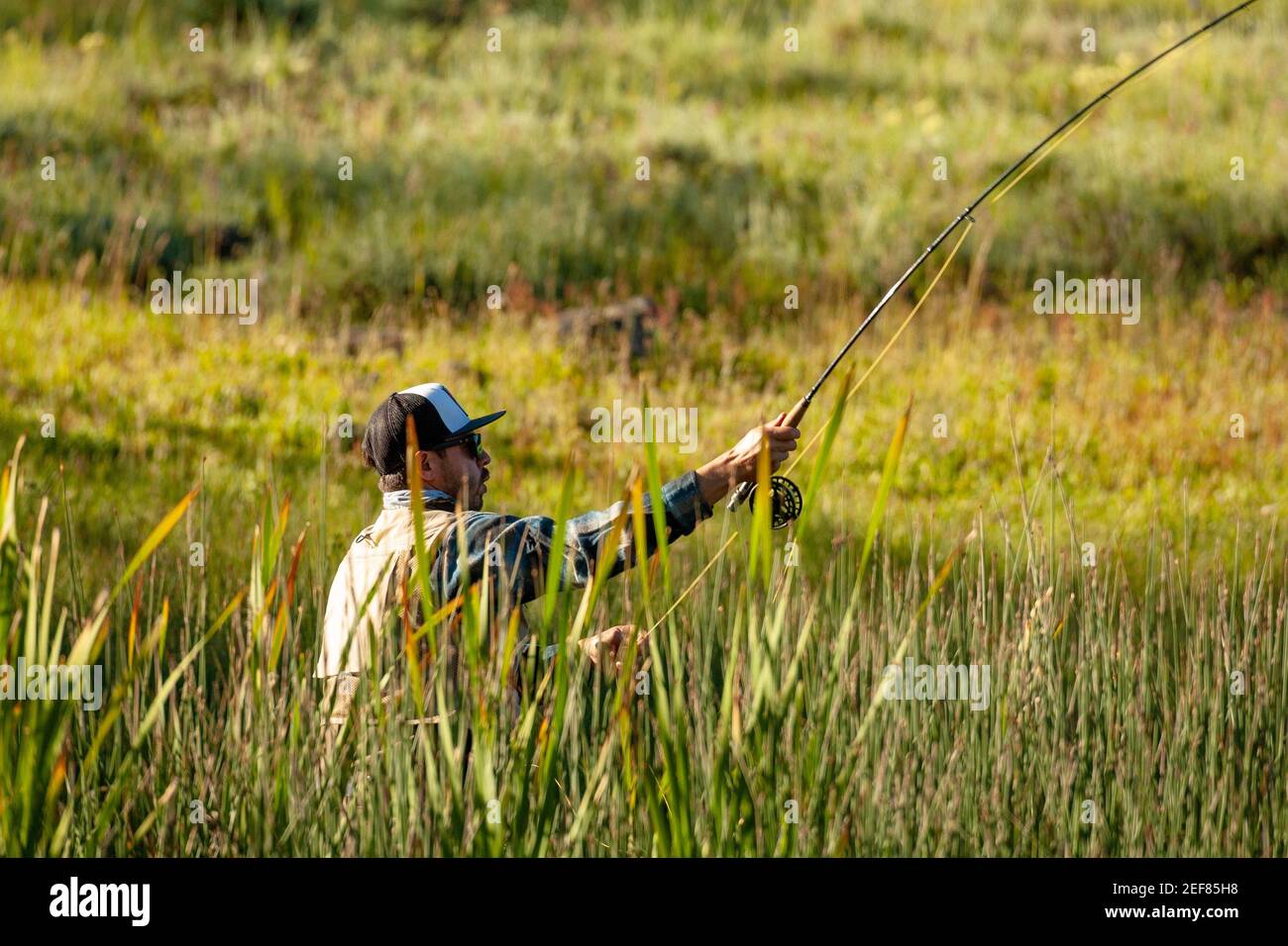 Converging green lines and concentrating fisherman, summer 2018, Yellowstone National Park. Stock Photo