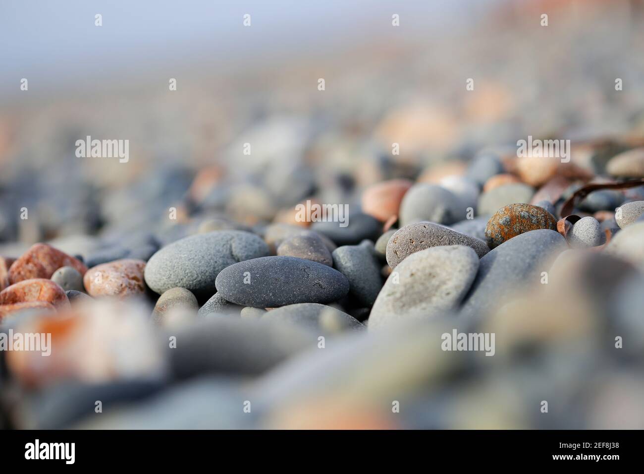 There is pebbles nice background for nature image. Stock Photo