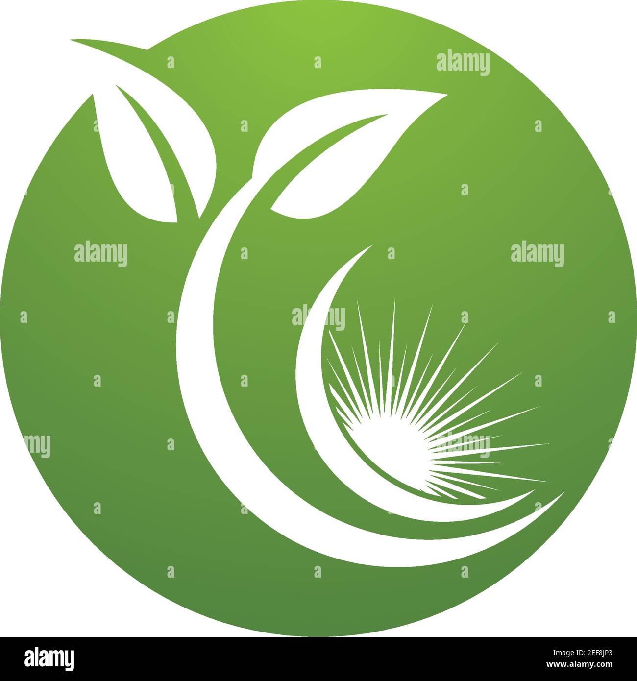 Logos of green leaf ecology nature element vector icon Stock Vector ...