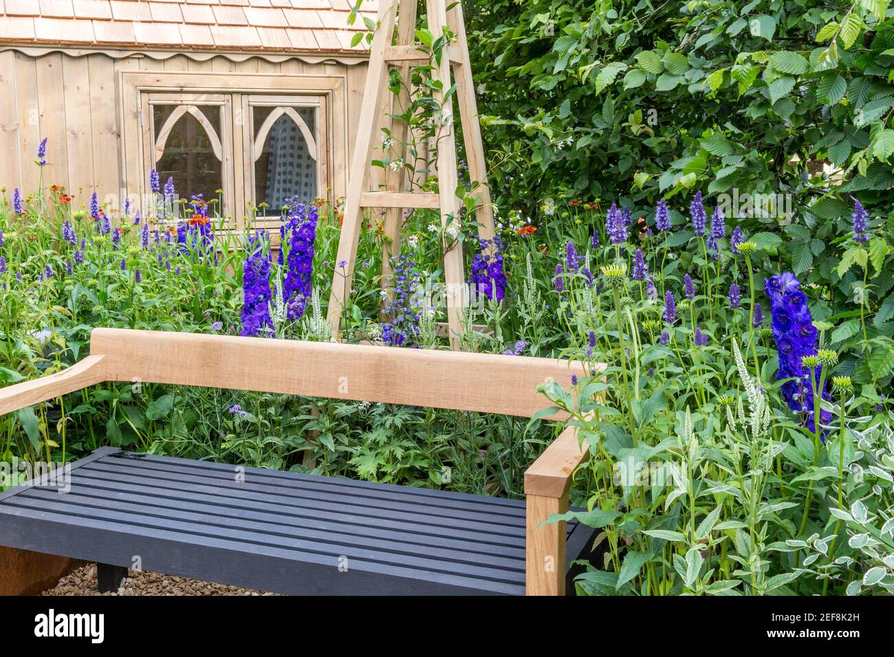 English cottage country garden with wooden garden bench gravel path and flower bed garden border growing Agastache flowers in Summer London UK England Stock Photo