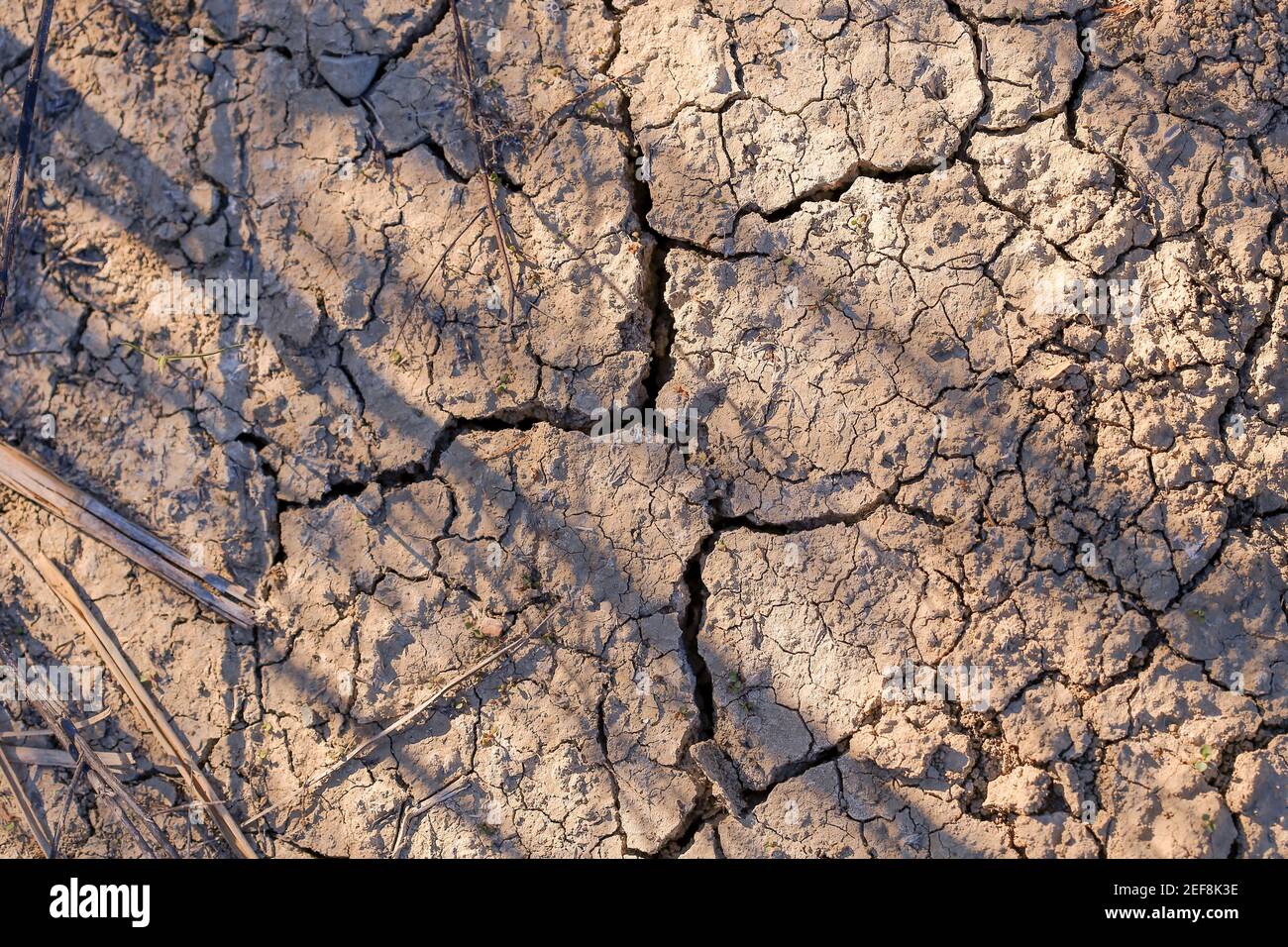 The example of global warming. Dry and cracked earth Stock Photo - Alamy