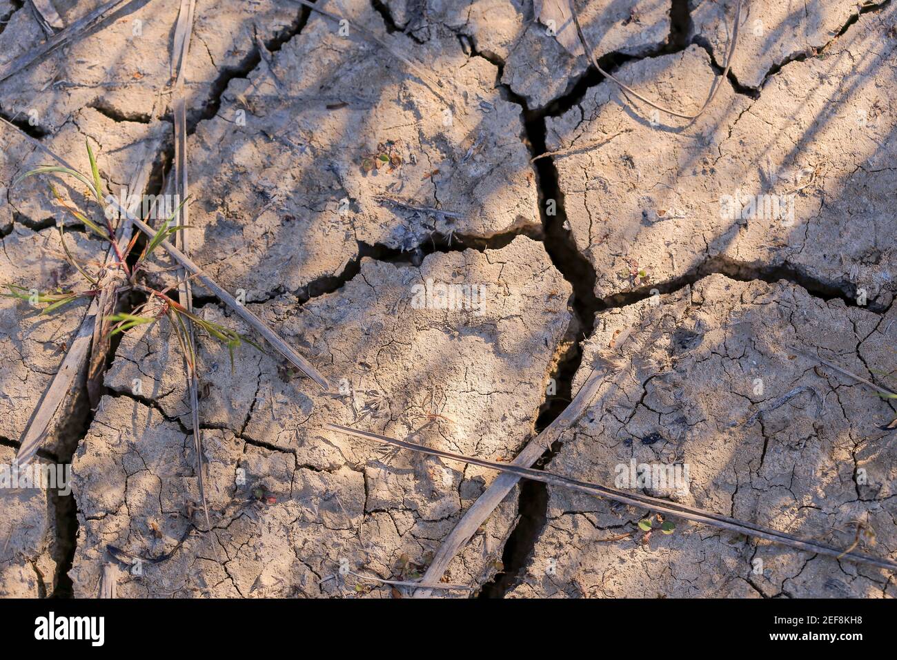 The example of global warming. Dry and cracked earth Stock Photo - Alamy