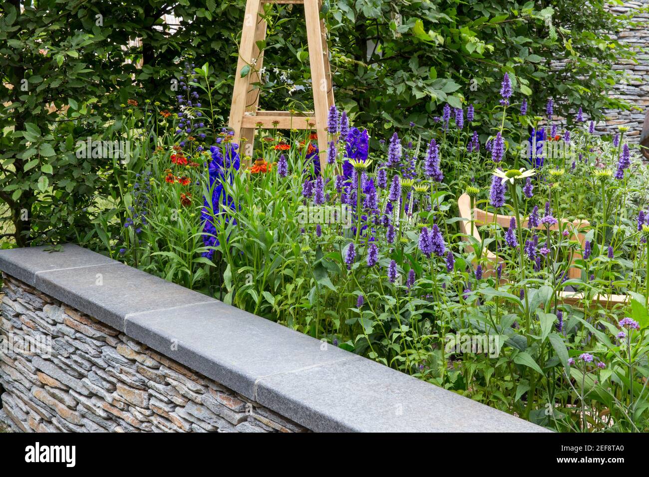 An English country cottage garden with dry stone wall obelisk and flower bed border borders growing Agastache flowers in Summer UK England Stock Photo