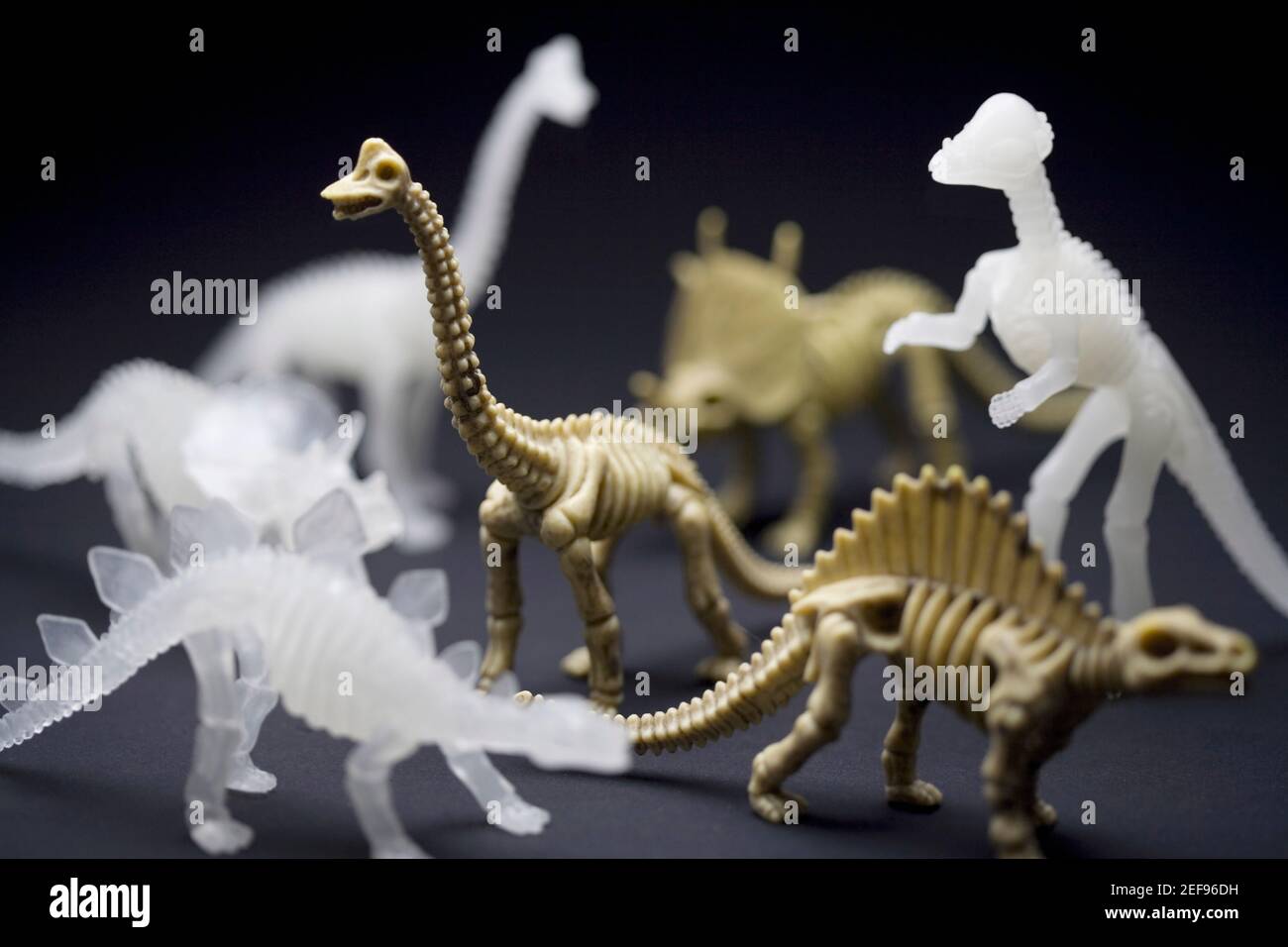 Close-up of models of dinosaurs Stock Photo